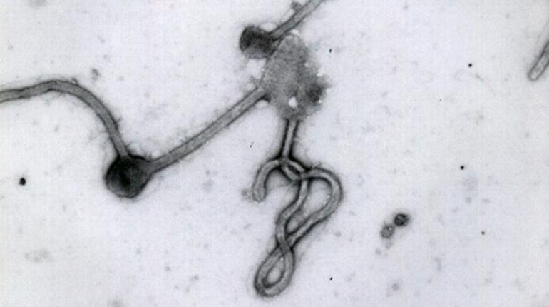 ???????????? ?????????????????????? ????????????????????