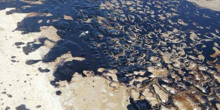 คราบน้ำมัน