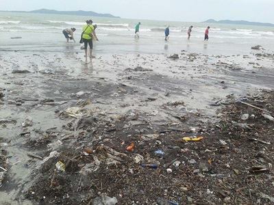 “พายุงวงช้าง” พัดพาสัตว์ทะเล-ขยะ เกลื่อนชายหาดสวนสน