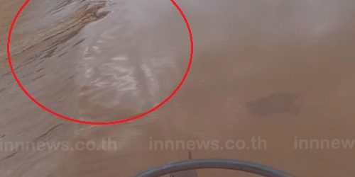 ชาวเชียงราย แตกตื่น พบน้ำคล้ายน้ำมันผุดในแม่น้ำ