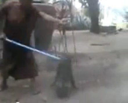 คลิปพระภิกษุตีลิง หลังไม่ยอมเก็บมะพร้าว