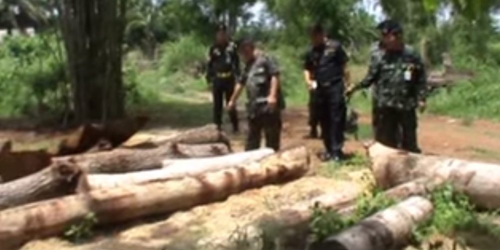 คลิป ผบ.จทบ.น่าน นำกำลังบุกตรวจจับ พรบ.ป่าไม้ อาวุธปืน หวยเถื่อน บ่อนพนัน