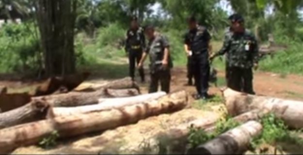 คลิป ผบ.จทบ.น่าน นำกำลังบุกตรวจจับ พรบ.ป่าไม้ อาวุธปืน หวยเถื่อน บ่อนพนัน