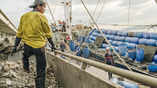 สื่ออังกฤษเปิดโปง! ชะตากรรมแรงงานทาสต่างด้าวบนเรือประมงไทย