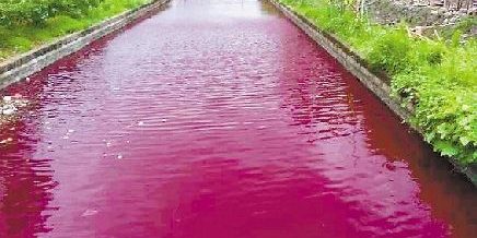 จีนฉงน แม่น้ำเปลี่ยนสีเลือดในชั่วข้ามคืน