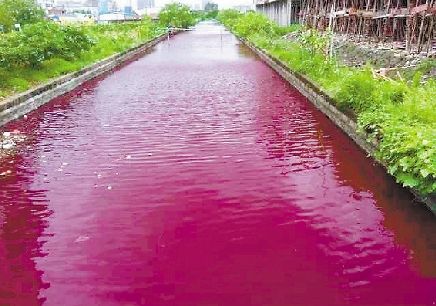 จีนฉงน แม่น้ำเปลี่ยนสีเลือดในชั่วข้ามคืน