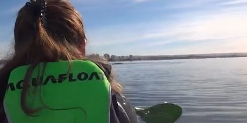 คลิประทึก คู่รักอาร์เจนตินาพายเรือคายักค้างบนหลังวาฬ