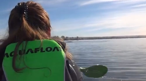 คลิประทึก คู่รักอาร์เจนตินาพายเรือคายักค้างบนหลังวาฬ