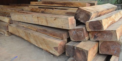 อายัดไม้ชิงชันค่าเกือบ2ล้าน รอการส่งขาย ซุกบ้านเมืองแพร่