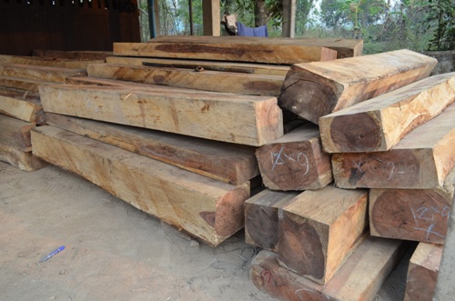 อายัดไม้ชิงชันค่าเกือบ2ล้าน รอการส่งขาย ซุกบ้านเมืองแพร่