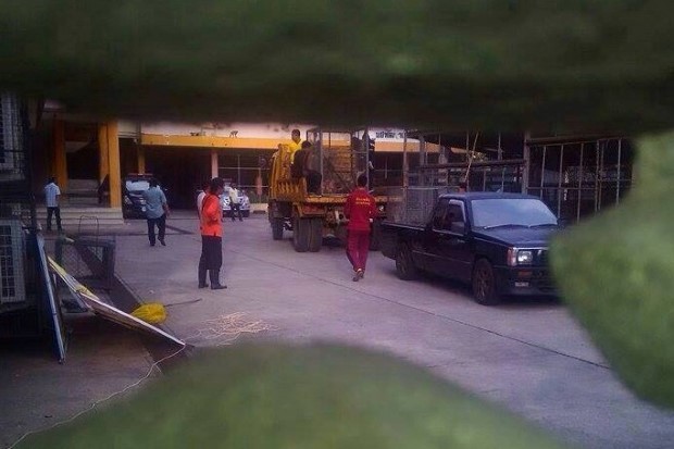 ร้องลิงลพบุรีกว่า2พันตัวถูกจับหายปริศนา