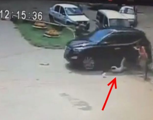 คลิประทึก รัสเซียขับรถชนเด็ก - พ่อโดดต่อยคนขับน่วม