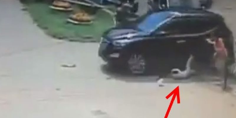 คลิประทึก รัสเซียขับรถชนเด็ก - พ่อโดดต่อยคนขับน่วม