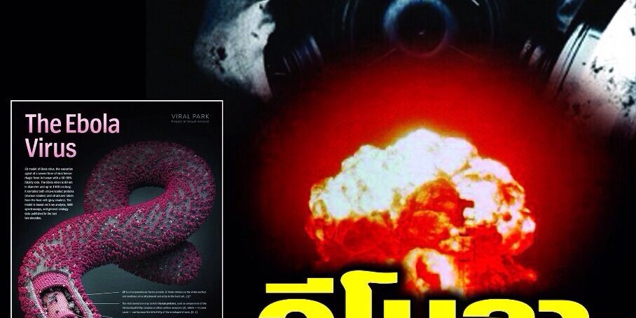 หนังสือพิมพ์๕เหล่าทัพ ฉบับที่ 29