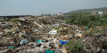 คุณป้าชอบสะสมขยะ