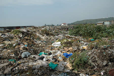 คุณป้าชอบสะสมขยะ