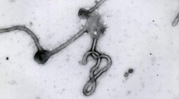 พม่าส่งเลือด ชายสงสัยติดเชื้ออีโบลา ไปตรวจที่อินเดียแล้ว