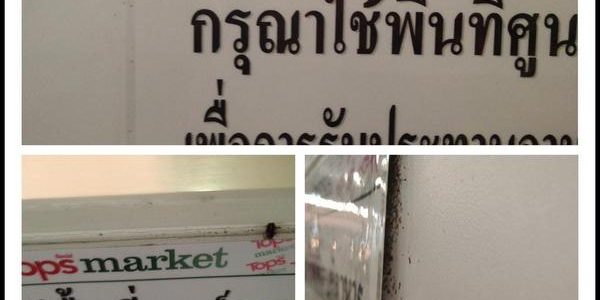 สุดอี๋...พบแมลงสาบทำรังหลังป้ายศูนย์อาหารห้างดัง