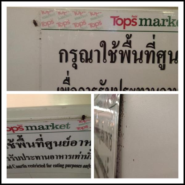สุดอี๋...พบแมลงสาบทำรังหลังป้ายศูนย์อาหารห้างดัง