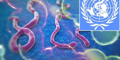 WHO เผยอีโบลาแพร่เข้าเมืองหลวง 3 ประเทศแอฟริกาแล้ว