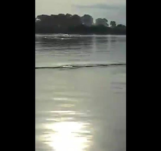 คลิปมหัศจรรย์ลุ่มน้ำโขง