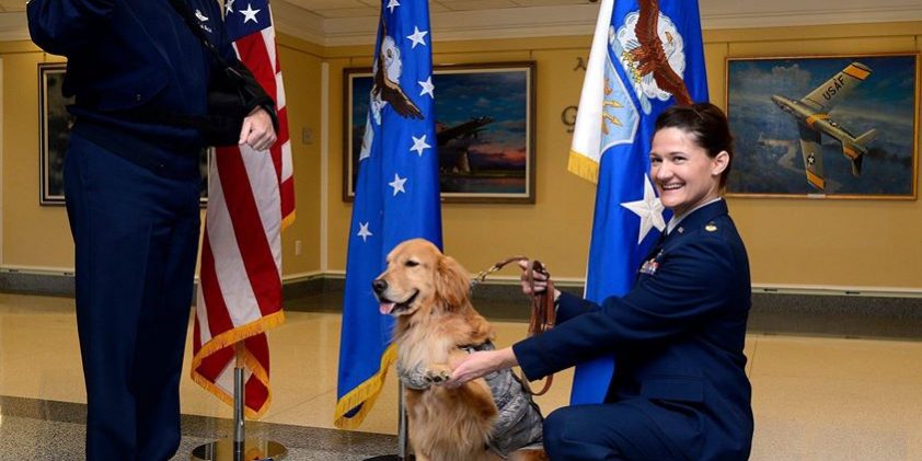 มะกันเลื่อนตำแหน่งเจ้าตูบสี่ขาเป็นผู้พัน