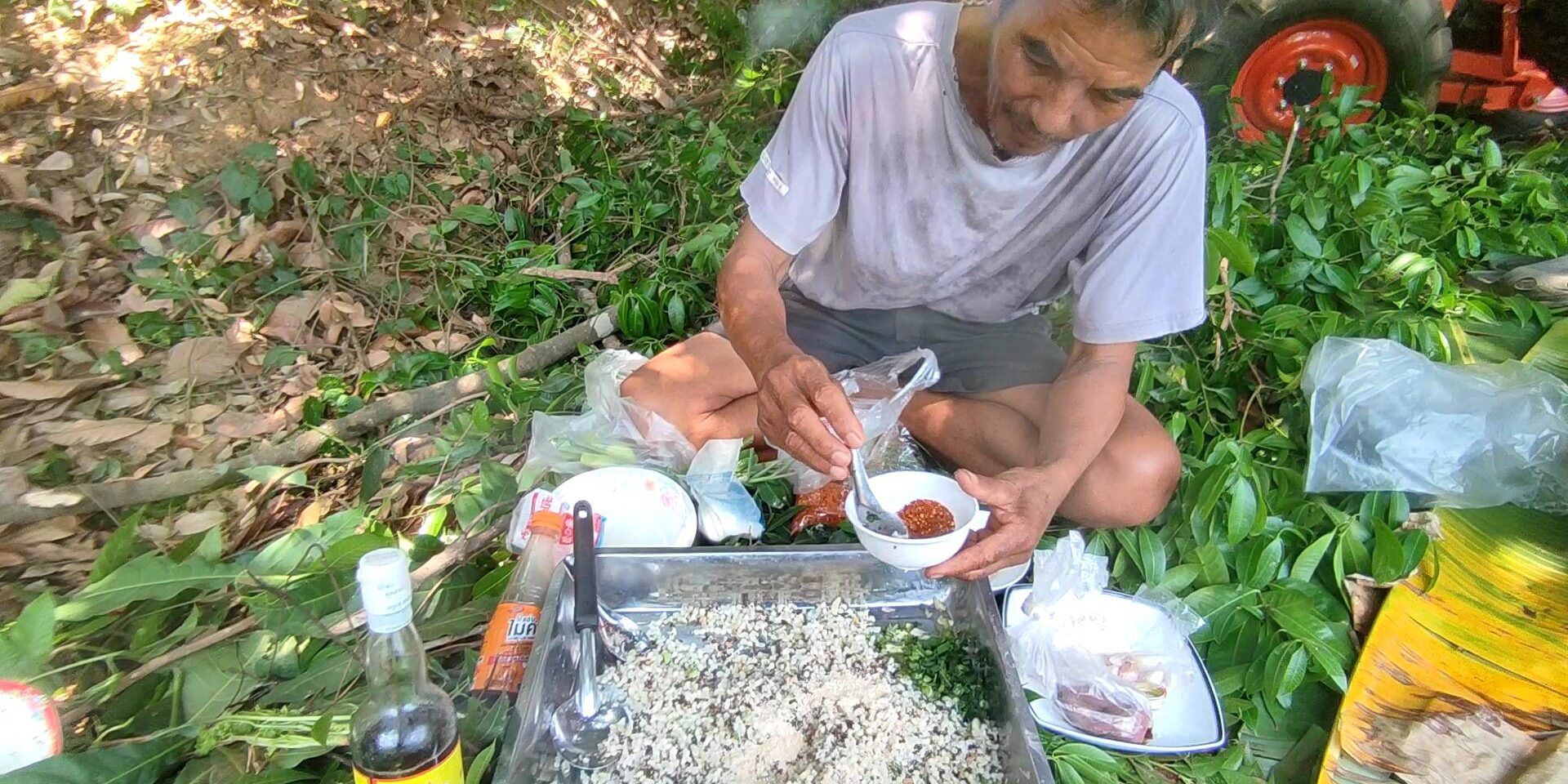 เพชรบูรณ์-ชาวบ้านตระเวนแหย่ไข่มดแดง-ปรุงเ-2