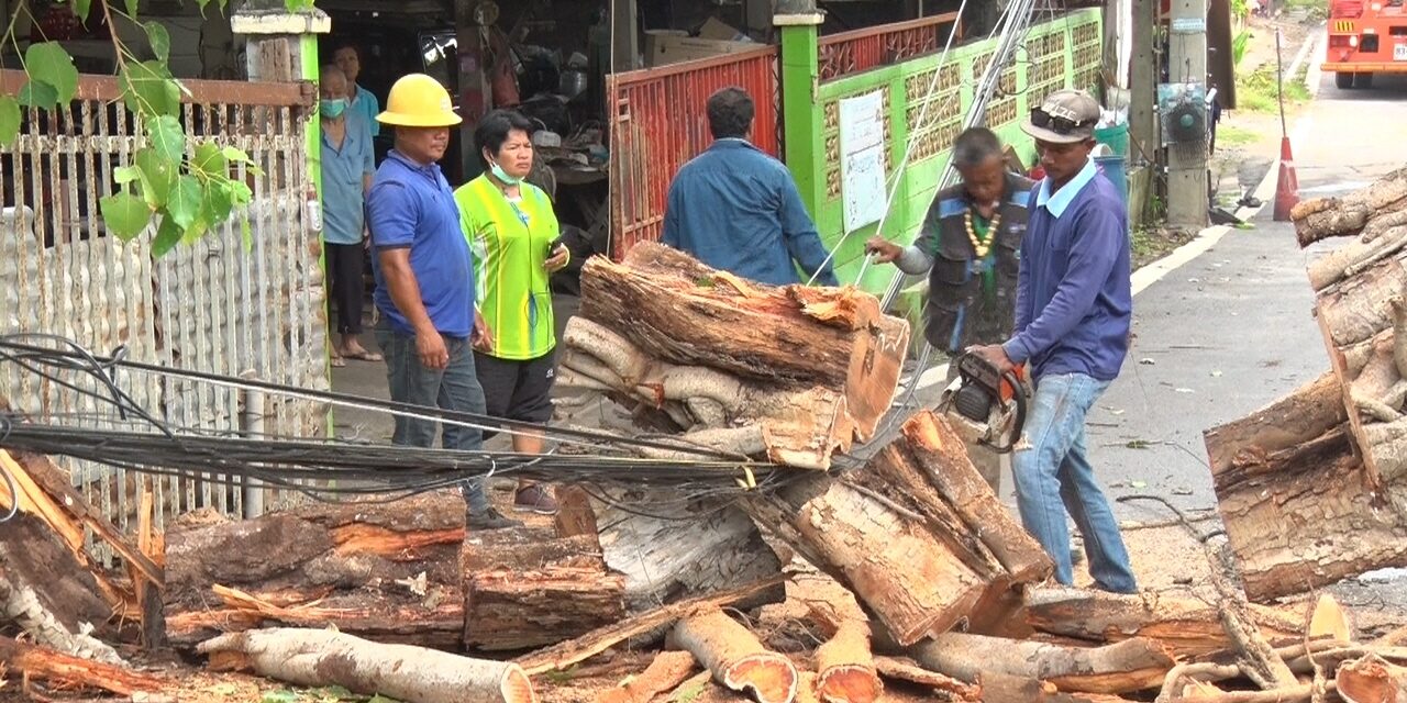 eb42c807-fd3c-46ba-bfa3-12d47002d892