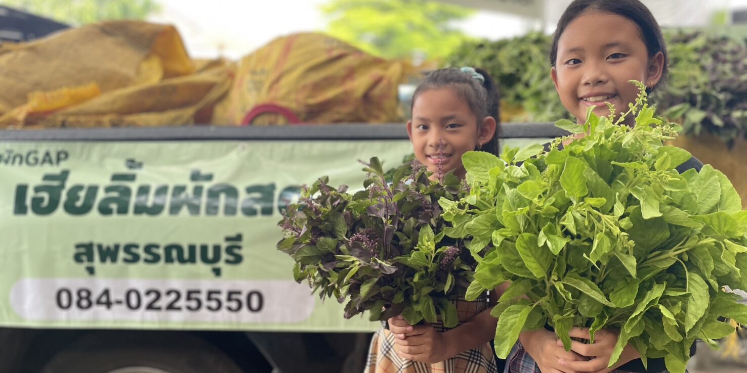 โซนผัก-GAP2_0_0